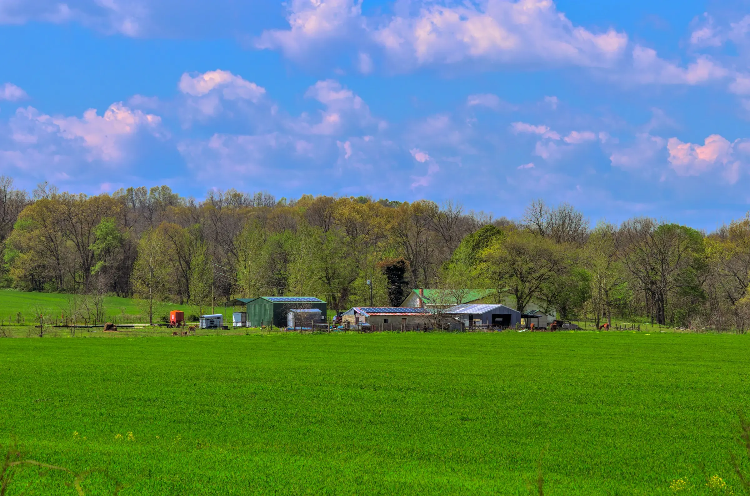 A residential property surrounded by open green acreage in daylight